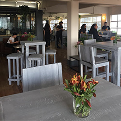 Renta de Salas Lounge